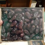 Premium Kalmi (Safawi) Dates - উচ্চমানের পুষ্টিকর কালমি খেজুর (প্রিমিয়াম কোয়ালিটি)shokhmart